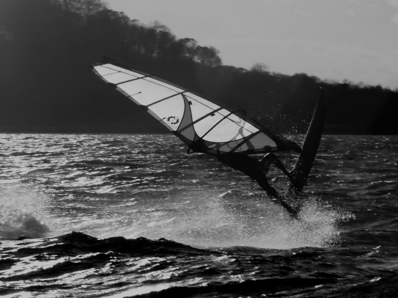 2010 11 17 IMG 15359bw